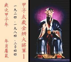 大辨金|金辨大將軍:簡介,人物,